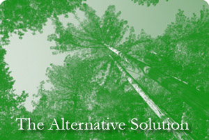 Cubs Consulting, Inc.